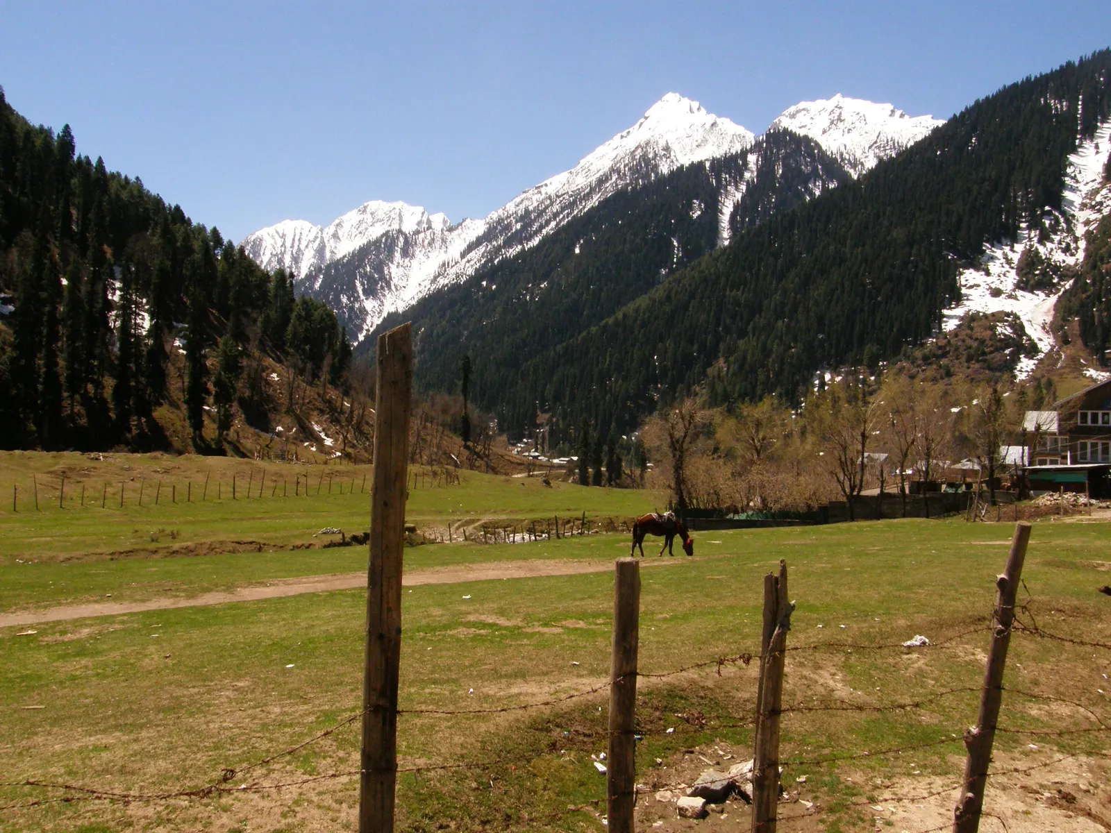 Mountain landscape at Aru Valley near Pahalgam